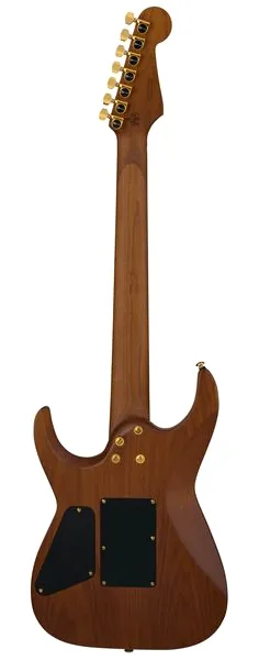 Charvel Angel Vivaldi PM DK24 GT7 Nat, yksityiskohta 2