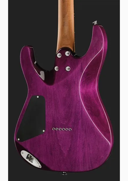 Charvel Pro Mod Plus DK24 VRAD, yksityiskohta 5
