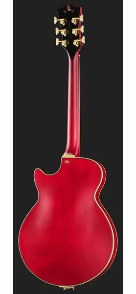 DAngelico Deluxe Bobby Weir 3 STW, yksityiskohta 3