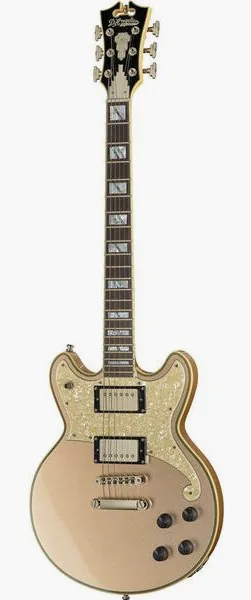DAngelico Deluxe Brighton Desert Gold edestä