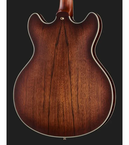 DAngelico Deluxe DC Satin Brown Burst, yksityiskohta 5