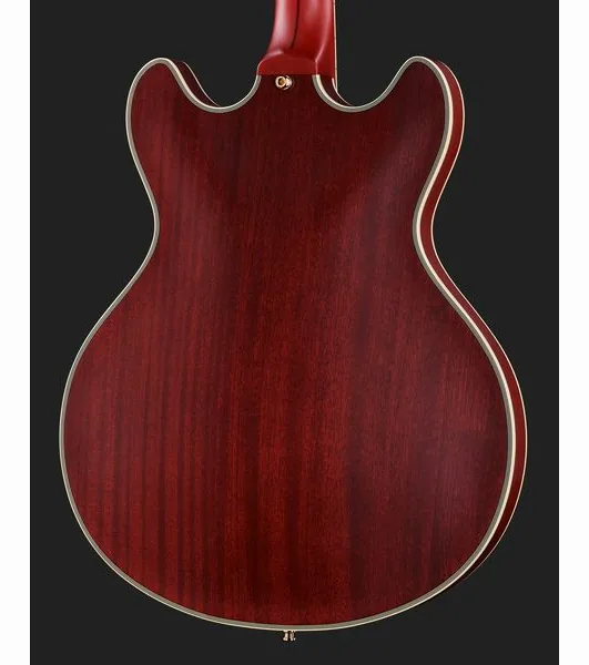 DAngelico Deluxe DC Satin Trans Wine, yksityiskohta 5