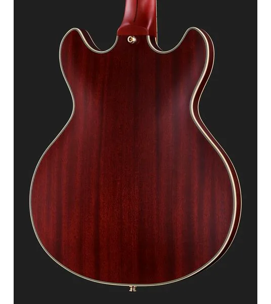 DAngelico Deluxe Mini DC Satin Trans Win, yksityiskohta 5