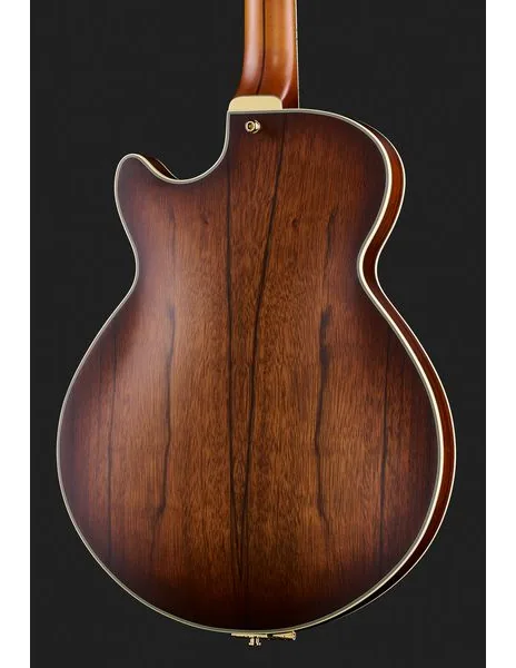 DAngelico Deluxe SS Satin Brown Burst, yksityiskohta 5