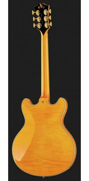 DAngelico Excel DC Vintage Natural, yksityiskohta 3