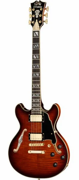 DAngelico Excel Mini DC Amaretto Burst edestä