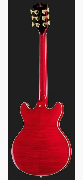 DAngelico Excel Mini DC Trans Cherry 25, yksityiskohta 3