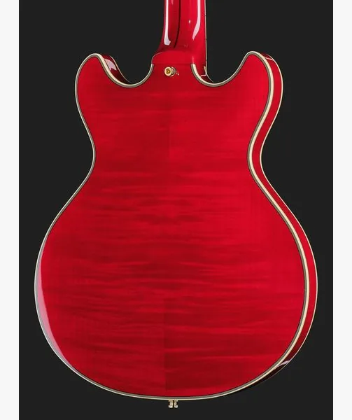 DAngelico Excel Mini DC Trans Cherry 25, yksityiskohta 5