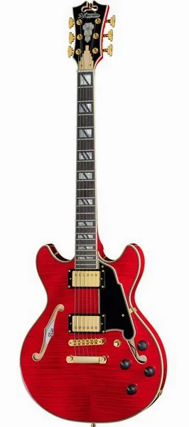 DAngelico Excel Mini DC Trans Cherry 25 edestä