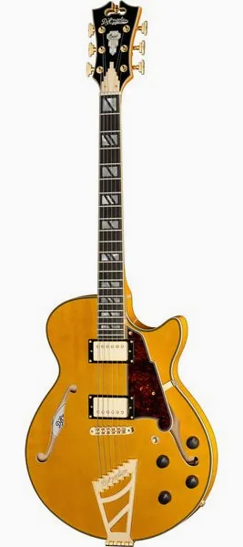 DAngelico Excel SS Amber edestä