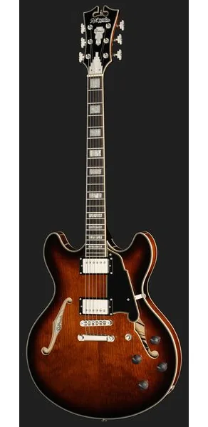 DAngelico Premier DC Brown Burst, yksityiskohta 2
