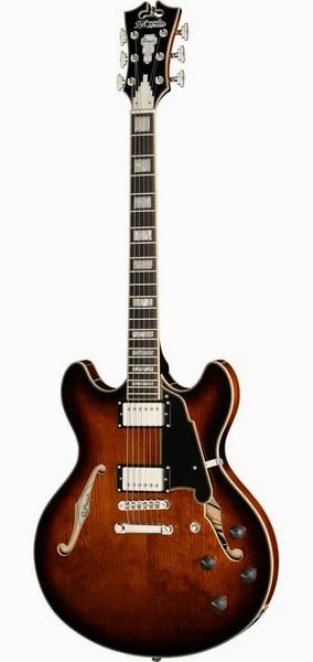 DAngelico Premier DC Brown Burst edestä