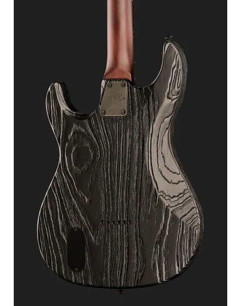 ESP LTD SN-1000 HT Silver Blast, yksityiskohta 5