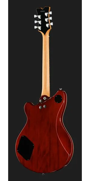 Evh SA-126 Special QM El Natural, yksityiskohta 3
