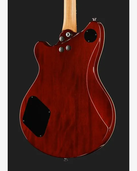 Evh SA-126 Special QM El Natural, yksityiskohta 5