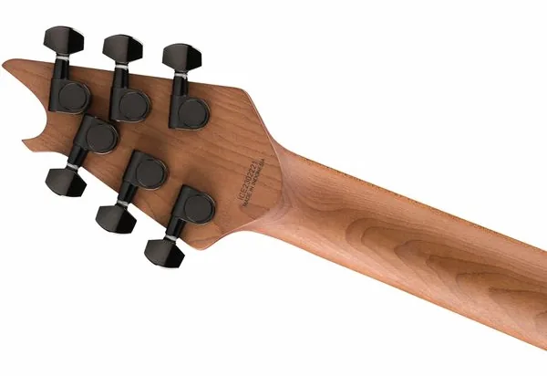 Evh Wolfgang Standard PELHAM BLUE, yksityiskohta 5