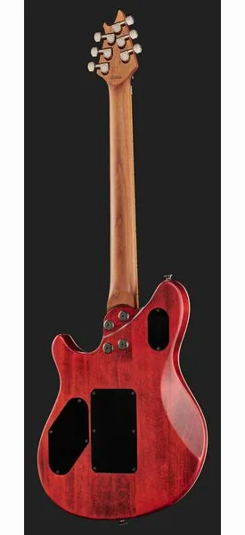 Evh Wolfgang WG Std Exotic BW, yksityiskohta 3