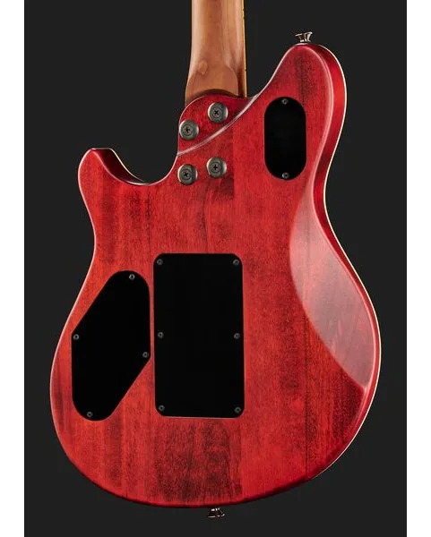 Evh Wolfgang WG Std Exotic BW, yksityiskohta 5