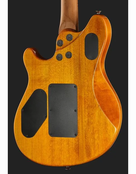 Evh Wolfgang WG Std QM TA, yksityiskohta 5