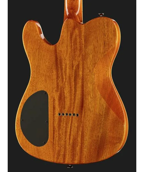 Fender Custom Telecaster FMT HH AM IL, yksityiskohta 5