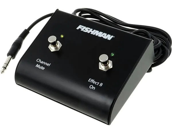 Fishman Dual Foot Switch edestä