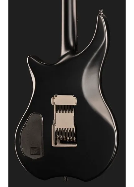 Framus Devin Townsend Stormbender Bl, yksityiskohta 5