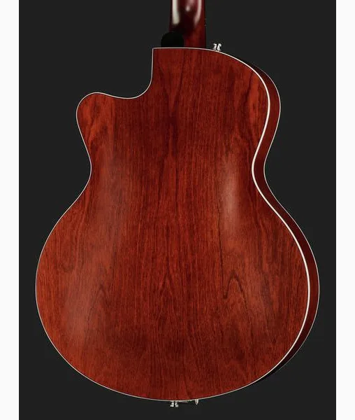 Godin 5th Avenue Uptown Custom BR, yksityiskohta 5