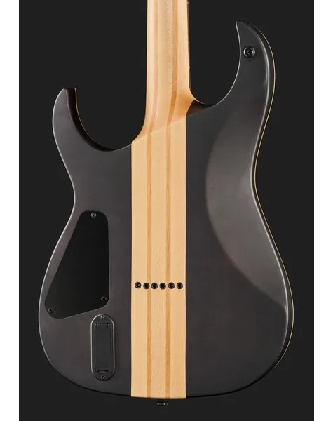 Harley Benton Amarok-6 BKNT Flame Burst, yksityiskohta 5