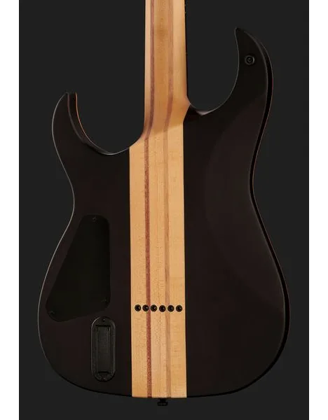Harley Benton Amarok-BT BKNT Flame Burst, yksityiskohta 5