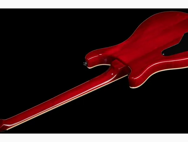 Harley Benton CST-24 Paradise Flame w/Case, yksityiskohta 4