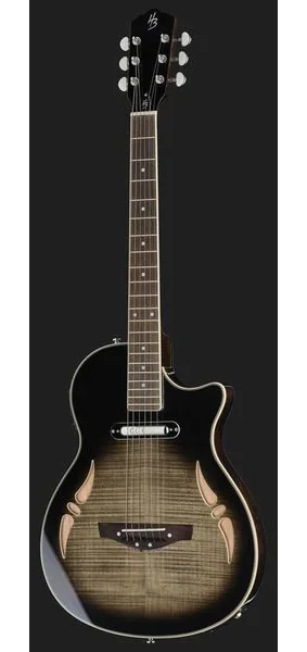 Harley Benton Nashville-Steel, yksityiskohta 2