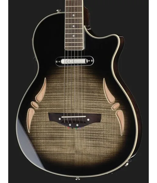 Harley Benton Nashville-Steel, yksityiskohta 4
