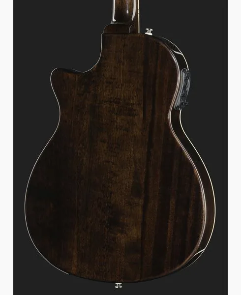 Harley Benton Nashville-Steel, yksityiskohta 5