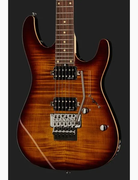 Harley Benton Fusion-III HH FR EB FBB w/Case, yksityiskohta 4
