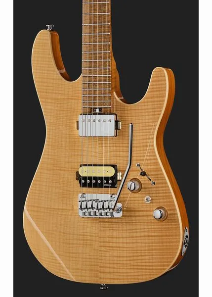 Harley Benton Fusion-IV HH MN FNT, yksityiskohta 4