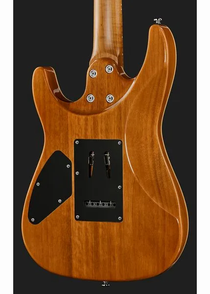 Harley Benton Fusion-IV HH MN FNT, yksityiskohta 5