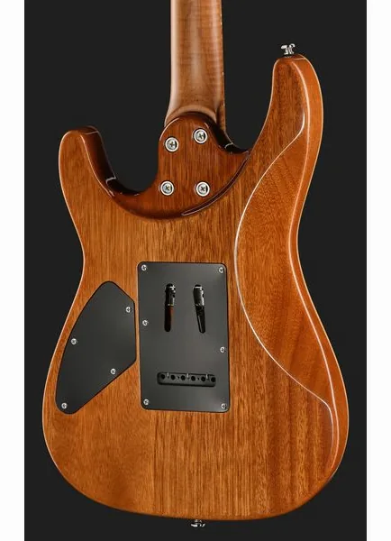 Harley Benton Fusion-IV HH MN OTC, yksityiskohta 5