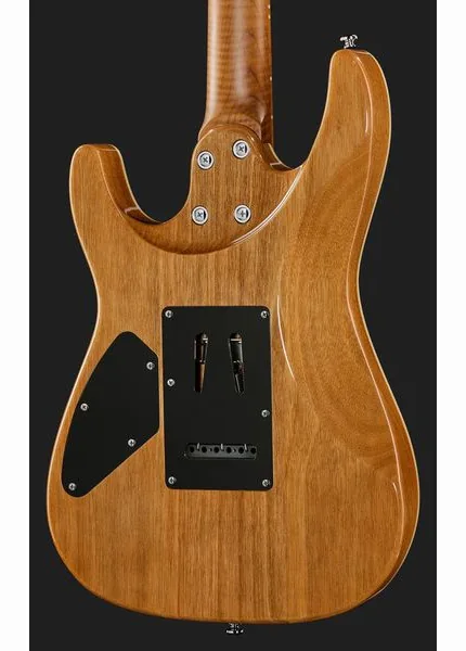 Harley Benton Fusion-IV HH MN QBKB, yksityiskohta 5
