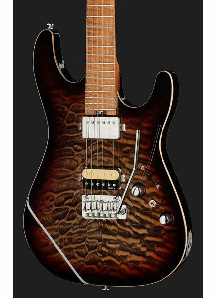 Harley Benton Fusion-IV HH MN QDG, yksityiskohta 4