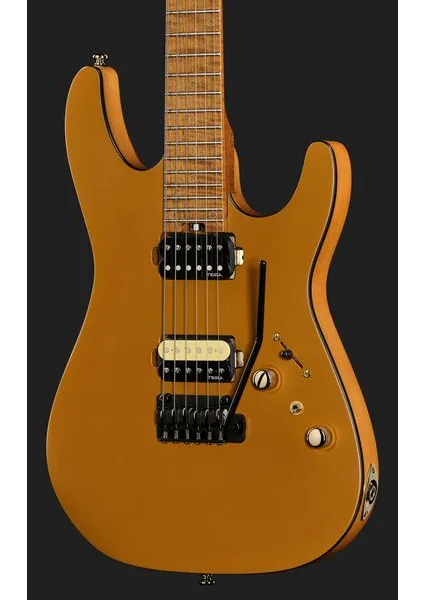 Harley Benton Fusion-IV HH MN SGD, yksityiskohta 4