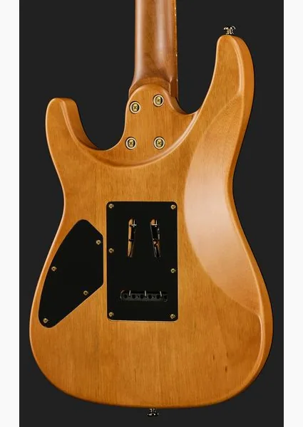 Harley Benton Fusion-IV HH MN SGD, yksityiskohta 5