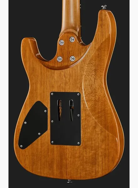 Harley Benton Fusion-IV HH RW FR QBLB, yksityiskohta 5