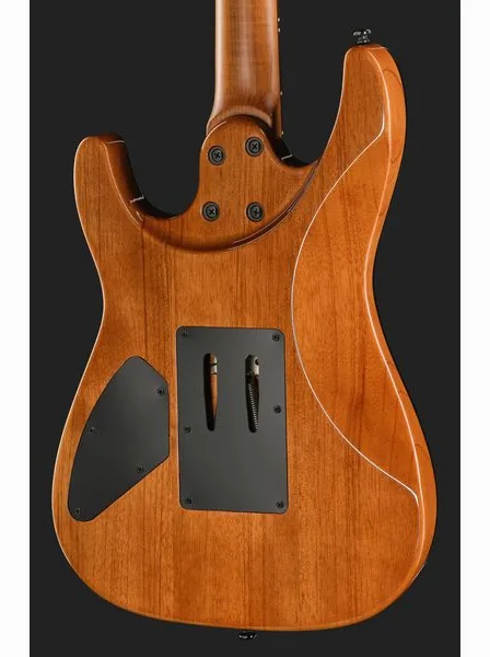 Harley Benton Fusion-IV HH RW FR WM, yksityiskohta 5