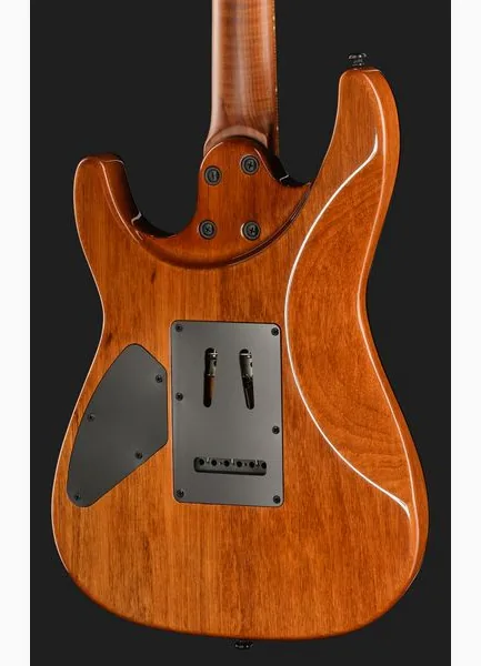 Harley Benton Fusion-IV HSH MN WM, yksityiskohta 5