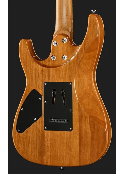 Harley Benton Fusion-IV HSS MN JM, yksityiskohta 5