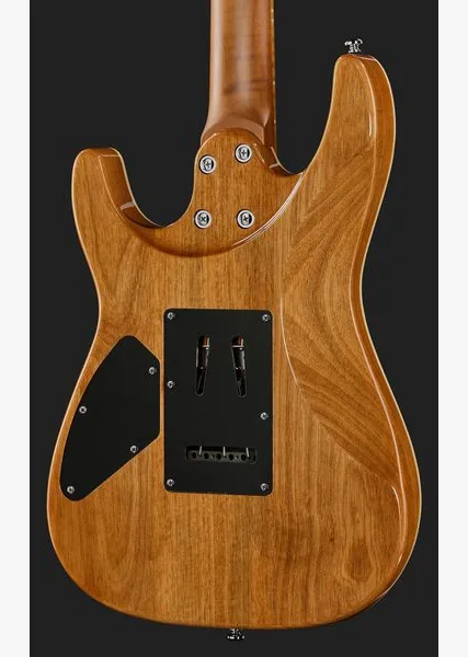 Harley Benton Fusion-IV HSS MN QRG, yksityiskohta 5