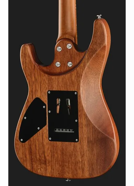Harley Benton Fusion-IV HSS MN SGR, yksityiskohta 5