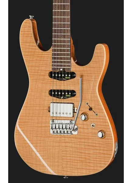 Harley Benton Fusion-IV HSS RW FNT, yksityiskohta 4