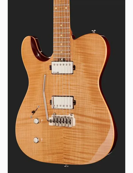 Harley Benton Fusion-T HH LH Roasted FNT, yksityiskohta 4