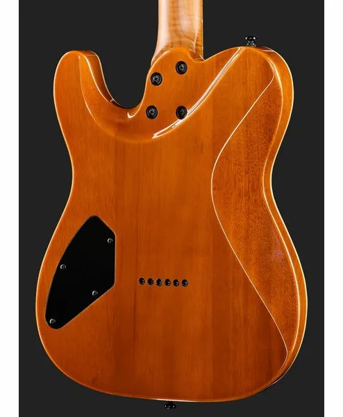 Harley Benton Fusion-T II HH MN HT BM, yksityiskohta 5